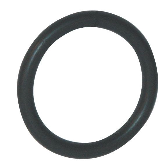 O-Ring 16 x 2.5