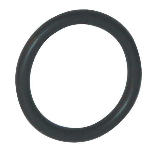 O-Ring 28 x 2 Viton