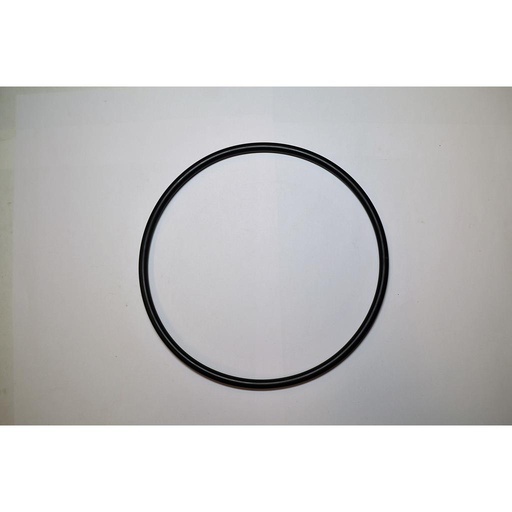 [G11.052] O-ring aanzuigfilter 319
